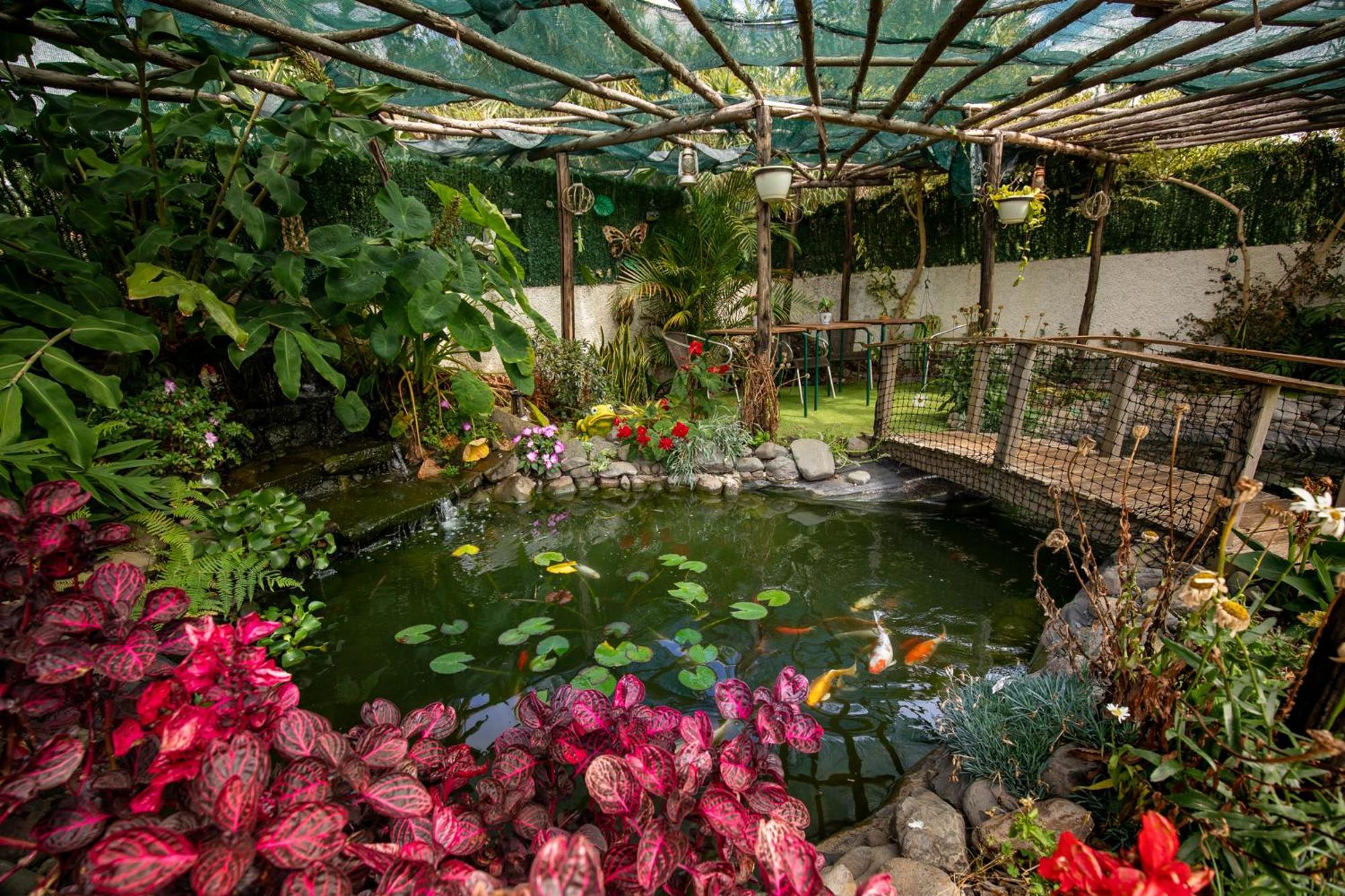 Levada House Prazeresヴィラ エクステリア 写真